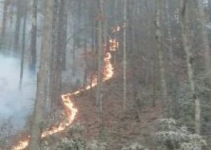 Towns County Fire