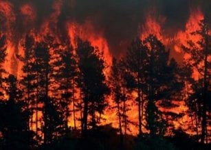 Towns County wildfire