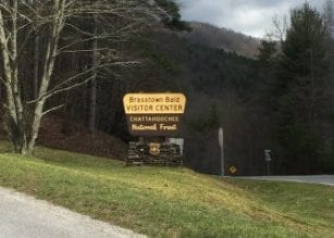 Towns County human remains