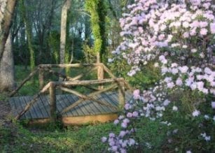 Hamilton Gardens