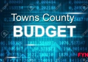 Towns County budget